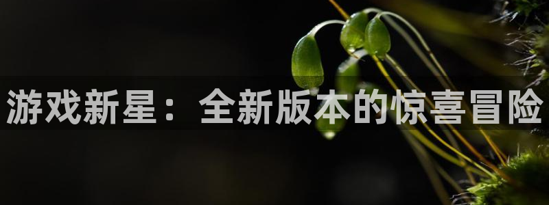 极悦娱乐注册开户：游戏新星：全新版本的惊喜冒险