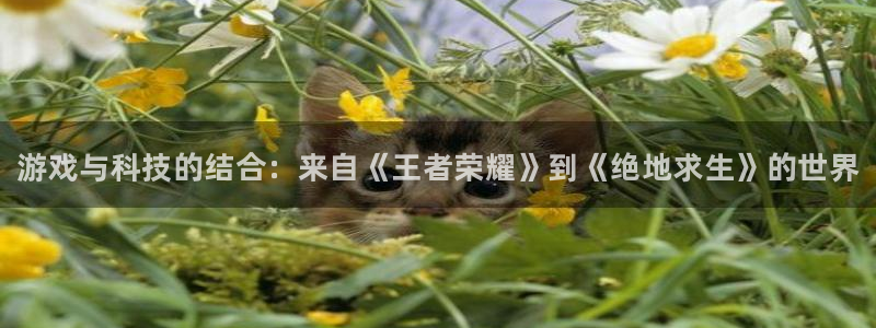 极悦娱乐咨询：游戏与科技的结合：来自《王者荣耀》到《绝地求生