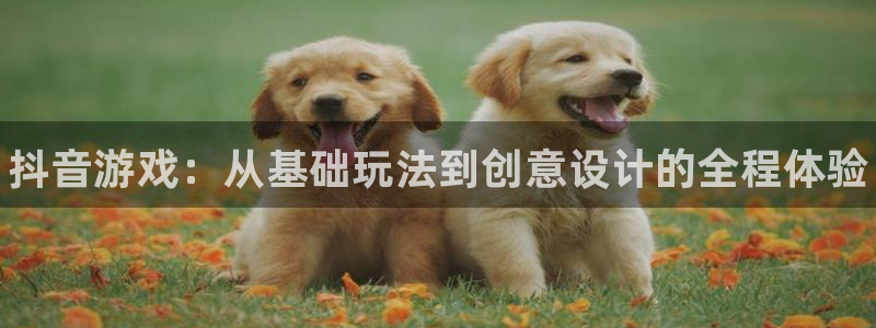 极悦娱乐Ii：抖音游戏：从基础玩法到创意设计的全程体验