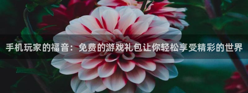极悦娱乐Ii：手机玩家的福音：免费的游戏礼包让你轻松享受精彩