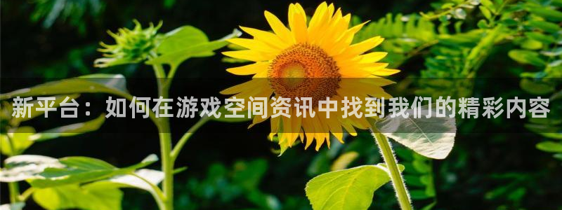 极悦娱乐平台官方网站