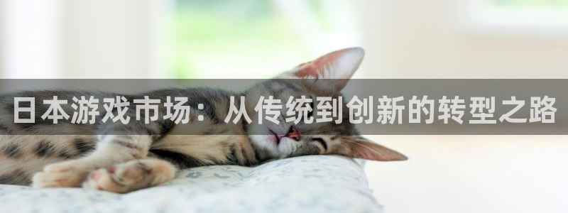 极悦娱乐官方登录网址：日本游戏市场：从传统到创新的转型之路