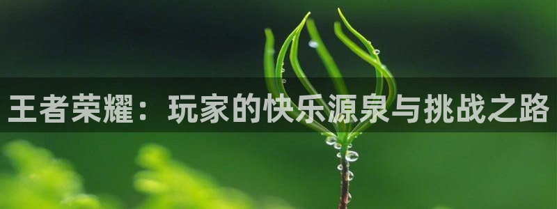 极悦娱乐下载链接