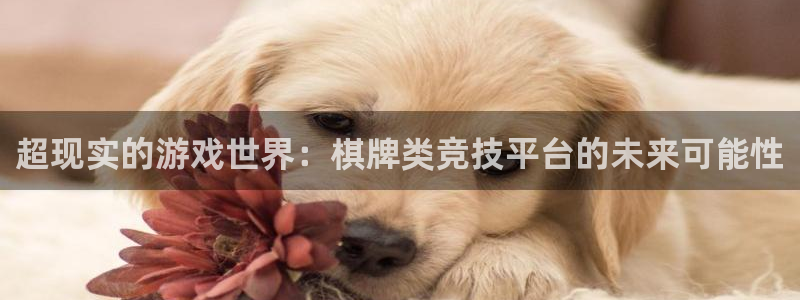 手机极悦娱乐下载安装：超现实的游戏世界：棋牌类竞技平台的未来