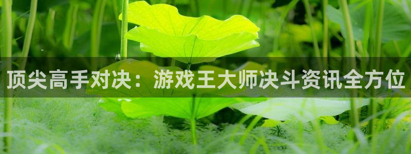 极悦娱乐注册测速：顶尖高手对决：游戏王大师决斗资讯全方位