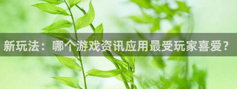极悦娱乐注册网站：新玩法：哪个游戏资讯应用最受玩家喜爱？