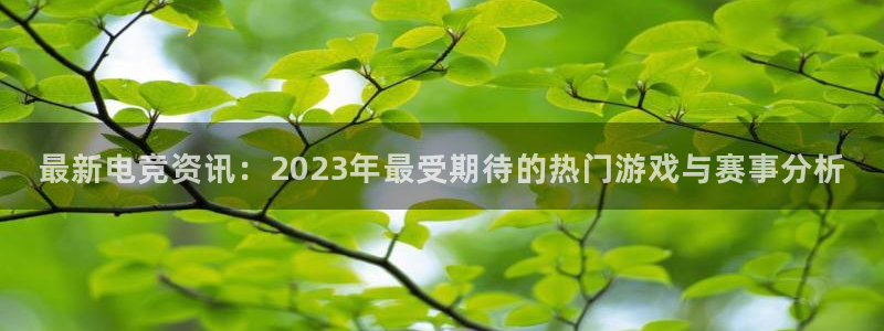 极悦娱乐登录：最新电竞资讯：2023年最受期待的热门游戏与赛