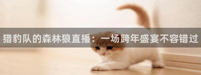 新球赛直播：猎豹队的森林狼直播：一场跨年盛宴不容错过