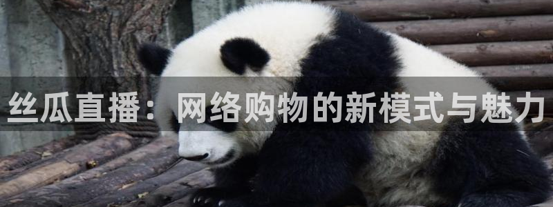 新球体育足球官网