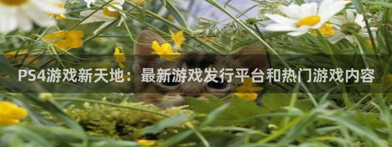 极悦娱乐平台官方网站