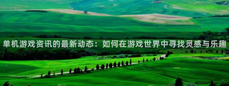 极悦娱乐登录网址：单机游戏资讯的最新动态：如何在游戏世界中寻